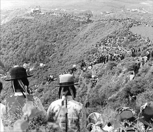 藏族花兒會 藏族花兒會