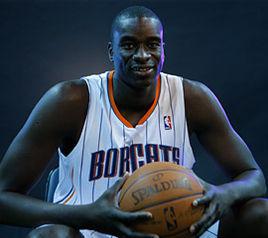 德桑蓋納·迪奧普 德桑蓋納·迪奧普