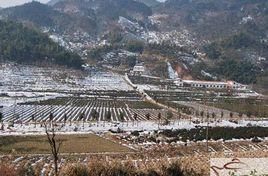 茶元河村 茶元河村