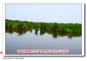 (圖)撓力河國家級自然保護區