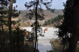 牛河森林公園 牛河森林公園