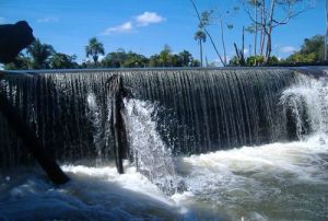 朗多尼亞州 朗多尼亞州