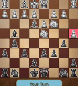 西洋棋錦標賽2 西洋棋錦標賽2