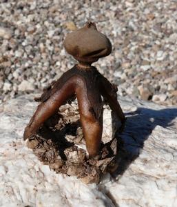 雜技地星 雜技地星