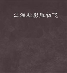 江涵秋影雁初飛 江涵秋影雁初飛