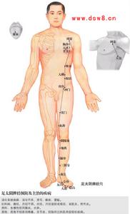 足太陰脾經人體穴點陣圖