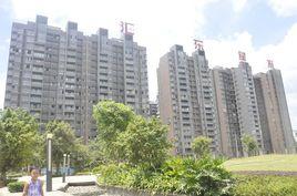 匯東星城 匯東星城