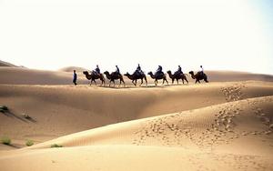 沙坡頭自然保護區