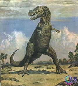 金剛口龍 金剛口龍