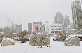 西北畜牧獸醫學院 西北畜牧獸醫學院