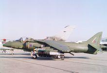 鷂式戰鬥機早期型號