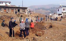 爐山鎮[貴州省凱里市爐山鎮]