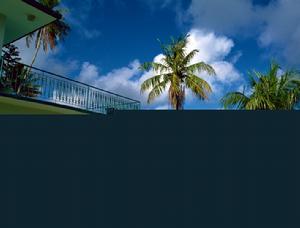 《海濱春色》 《海濱春色》