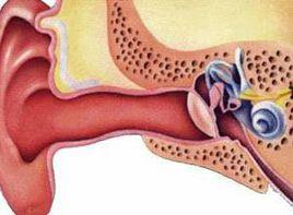 耳前庭聽覺失衡 耳前庭聽覺失衡