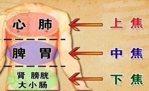 中焦濕熱證 中焦濕熱證