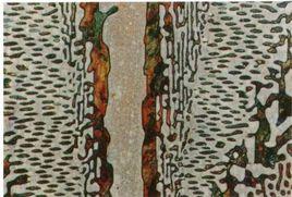 變形共晶 變形共晶