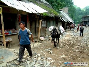 大水彝族苗族布依族鄉