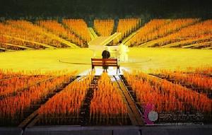 奧運會上熠熠生輝的海資曼鋼琴