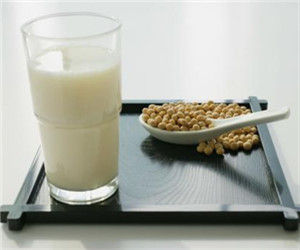 大豆飲料 大豆飲料