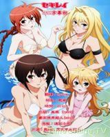 鶺鴒女神第二季 鶺鴒女神第二季