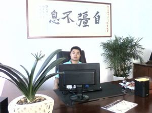 鼎盛國際發展有限公司 鼎盛國際發展有限公司