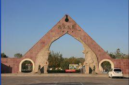 諸城恐龍公園 諸城恐龍公園