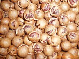 臨安山核桃 臨安山核桃