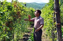 金文元在向村民講授有關種植技術知識