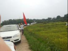 清水村[江西省吉安縣浬田鄉清水村]