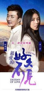 親愛的，好久不見[電視劇]