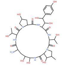 棘白菌素 棘白菌素