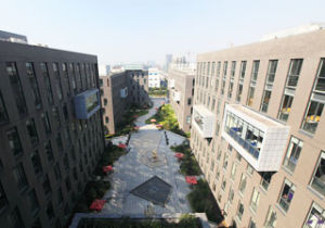 濱江慧港科技園 濱江慧港科技園