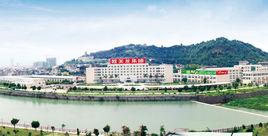 福建歐美龍集團 福建歐美龍集團