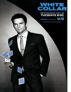 妙警賊探第五季