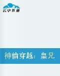 神偷穿越皇兄別亂來 神偷穿越皇兄別亂來