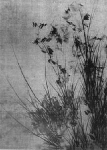 石菖蒲圖 石菖蒲圖