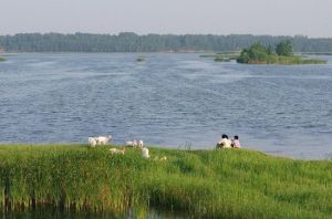 浮龍湖生態旅遊區 浮龍湖生態旅遊區