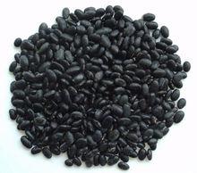 黑五類[文革期間用語]