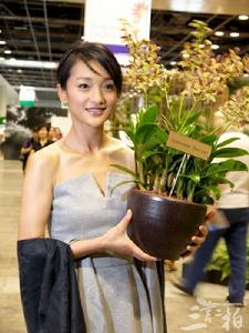 新加坡國花以周迅名字命名為“周迅蘭”