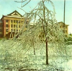 木蘭花令·霜余已失長淮闊