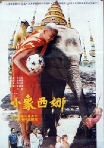 小象西娜 小象西娜