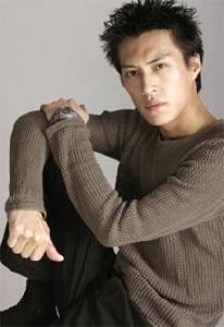 靳東[中國內地男演員]