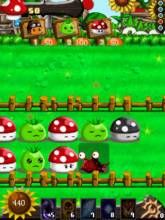 小軟痛扁衰仔 小軟痛扁衰仔