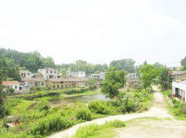 麻城順河 麻城順河