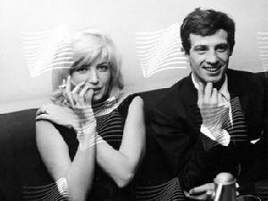 莫妮卡&middot;維蒂