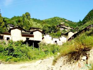 箬寮原始林區 箬寮原始林區