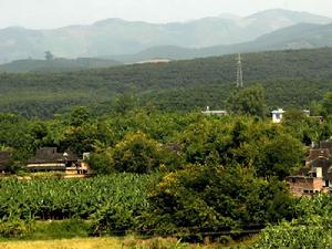 曼桂村-村寨一角