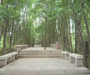 梅家山公園 梅家山公園