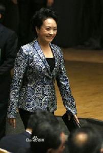 第一夫人概念股 第一夫人概念股