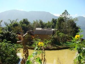 五畝租村 五畝租村